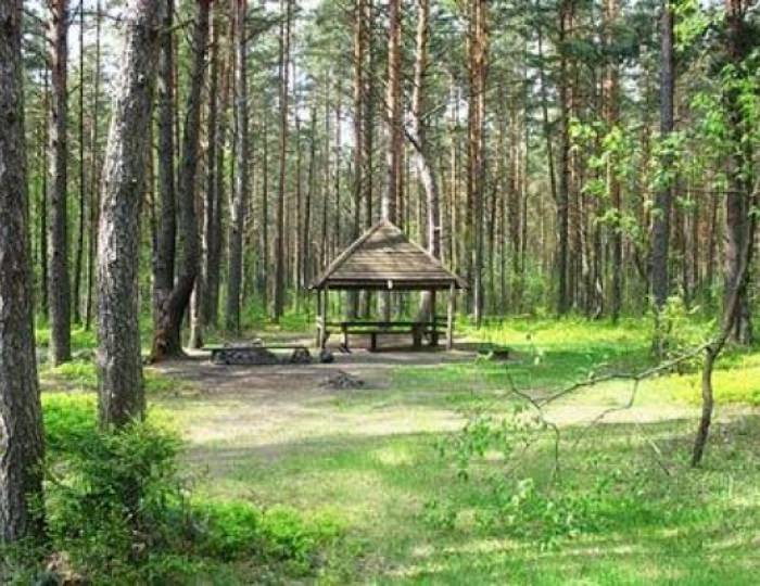 Климатолечение - Санаторий «Журавушка» Беларусь