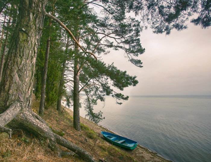 Оборудованный пляж - Санаторий «Журавушка» Беларусь